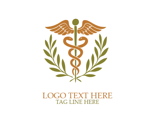Care Medical Caduceus Logo