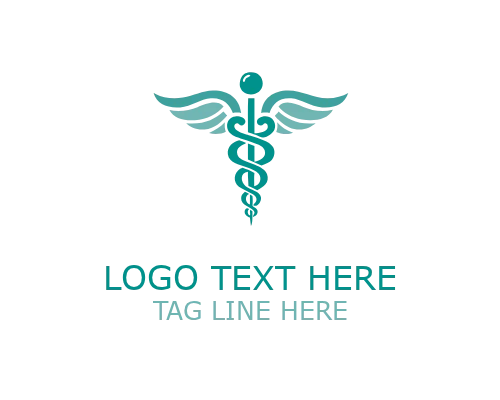 Care Way Caduceus Logo