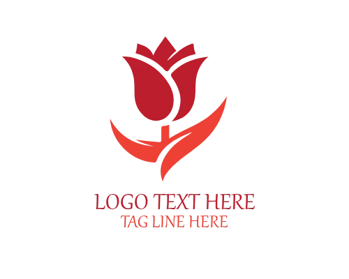 Carnation Flower Logo for Beauty, Romance, and Lifestyle Brands