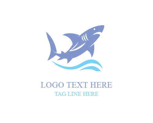 Cartoon Fun Shark Logo