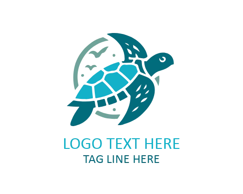 Cartoon Turtle Kids Logo
