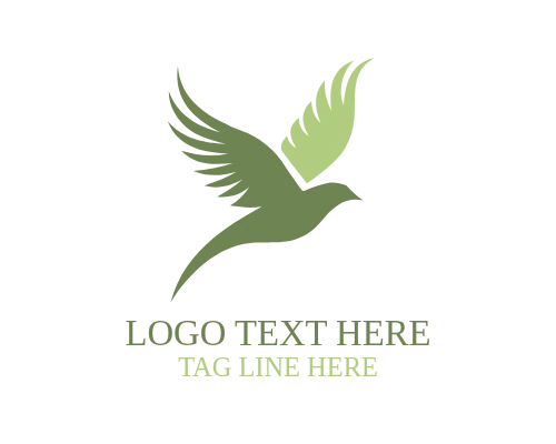  Circle Flying Bird Logo