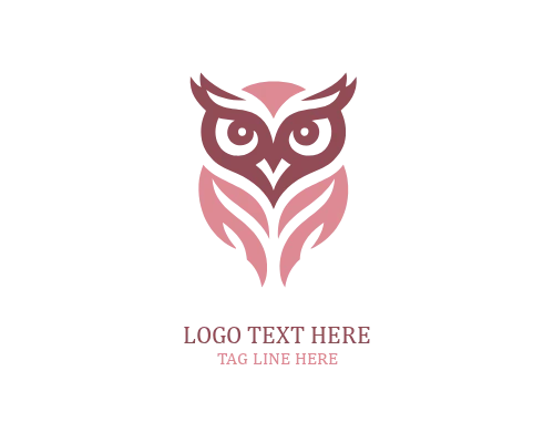 Clarity Owl Logo