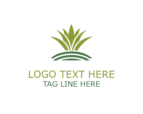  Clean Meadow Design Logo