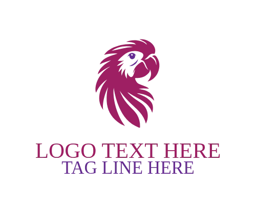 Color Splash Parrot Logo