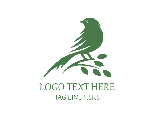 Creative Agency Bird Logo
