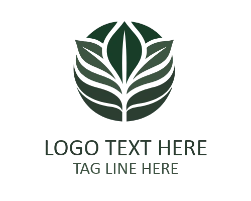 Creative Leaf Icon