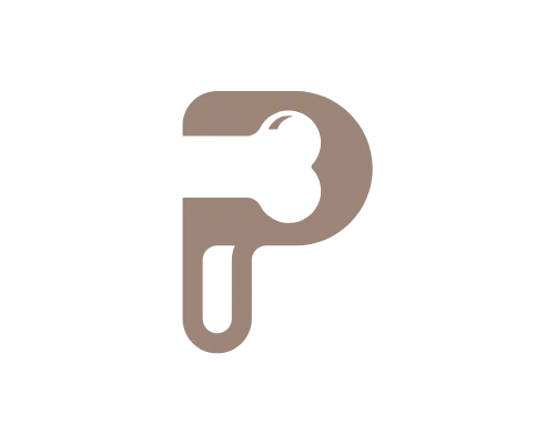 Creative Letter P Bone Logo