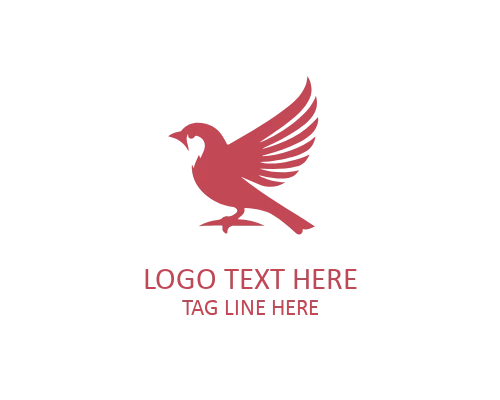 Creative Sparrow Logo Symbol