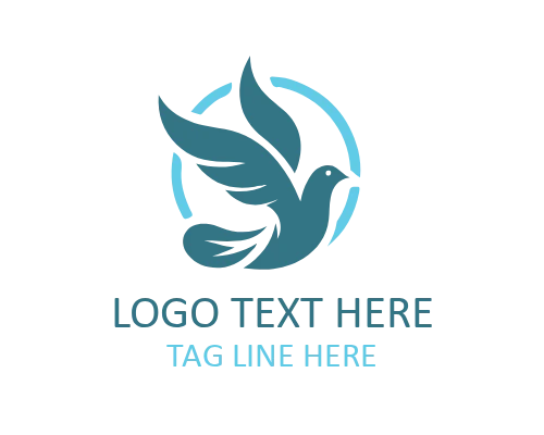  Dove Minimalist Logo