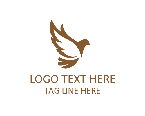  Dove Soaring Curve Logo