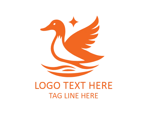 Duck Compass Logo for Exploration Brands