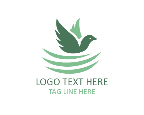 Dynamic Flight Flying Bird Logo
