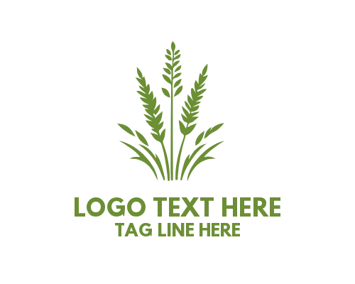 Eco Lawn Grass Logo for Sustainable Brands