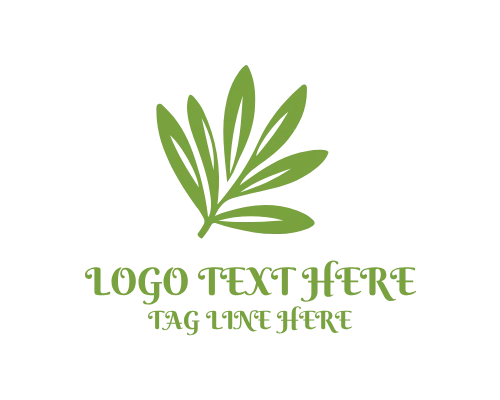 Eco Purity Olive Tree Logo