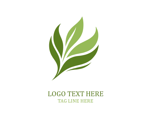Eco Vision Leaf Logo