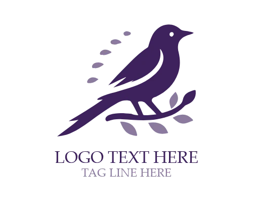 Education Symbol Bird Logo