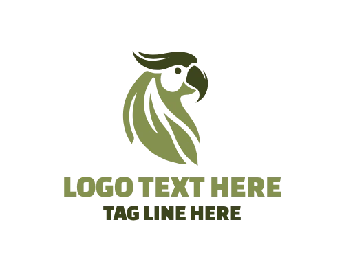 Educational Learning Parrot Logo Design