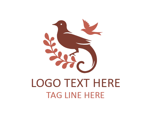 Elegant Bird Ray Logo