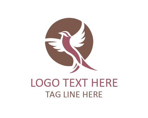 Elegant Bird Spark Logo