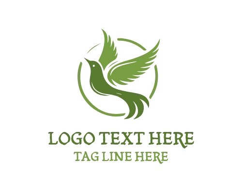  Elegant Bird Velocity Logo
