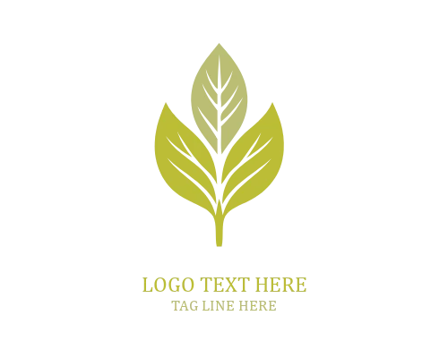 Elegant Leaf Logo