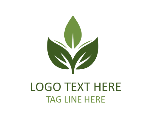 Elegant Nature Leaf Logo
