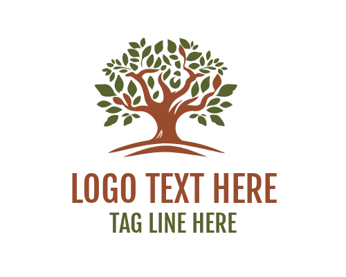 Elegant Oak Tree Logo