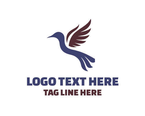  Elegant Soaring Bird Logo