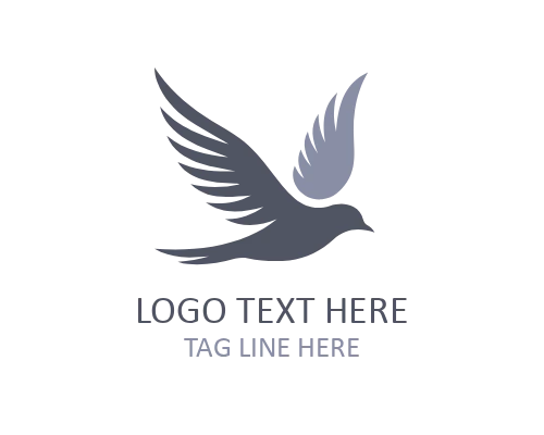 Flight Path Flying Bird Logo