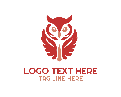 Flying Night Owl Logo