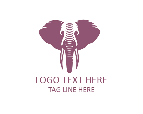  Geometric Elephant Logo for Creative and Tech Brands