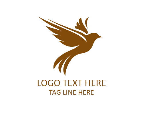  Geometric Flying Bird Modern Logo