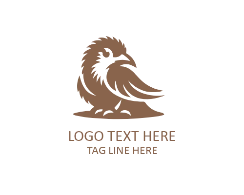  Geometric Kiwi Bird Logo