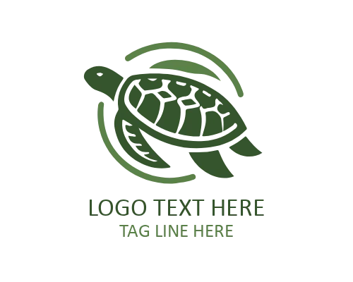 Geometric Turtle Modern Logo