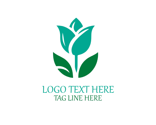 Gerbera Flower Logo for Cheerful, Vibrant, and Lifestyle Brands