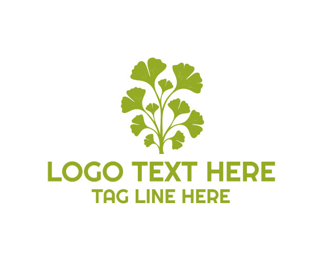 Ginkgo Herb Botanical Best Logo