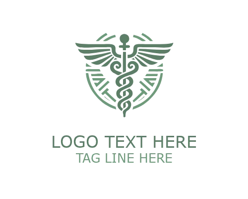 Health Support Caduceus Logo