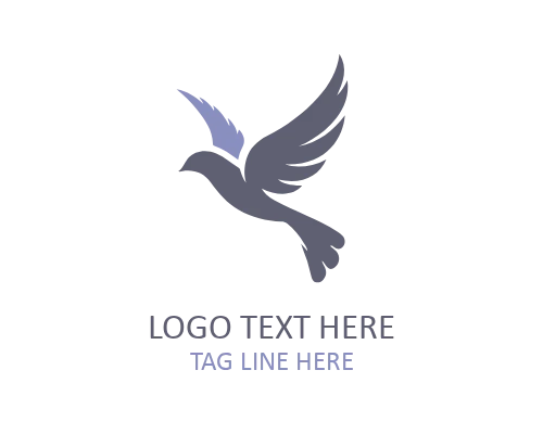 Hexagon Flying Bird Logo