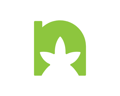 Eco Letter N Logo