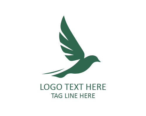 Infinity Flight Bird Logo