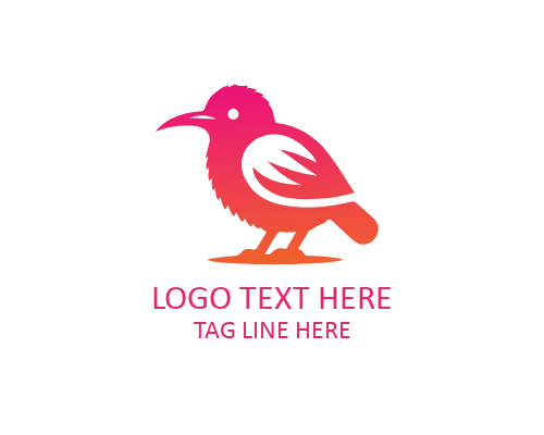  Kawaii Cute Kiwi Bird Logo