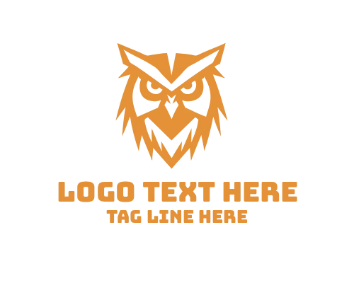 Knowledge Future Owl Logo
