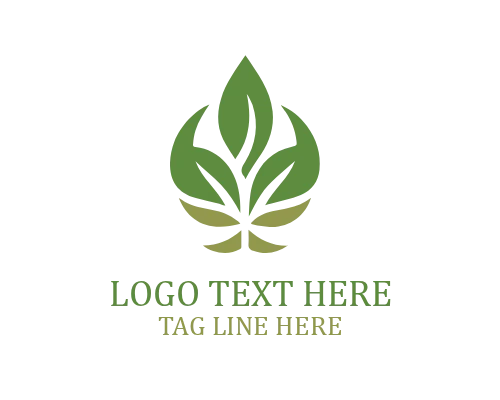  Leaf Adventure Logo