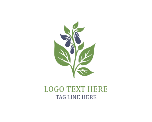 Leaf Circle Soybeans Logo