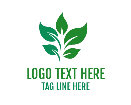 Leaf Compass Nature Direction Logo