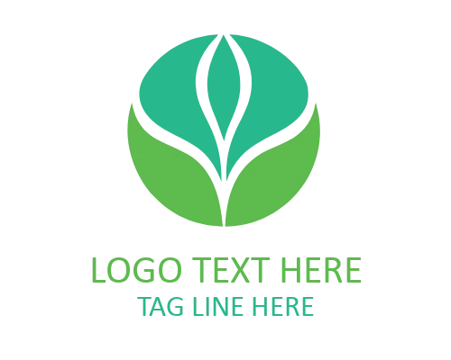 Leaf Frame Design