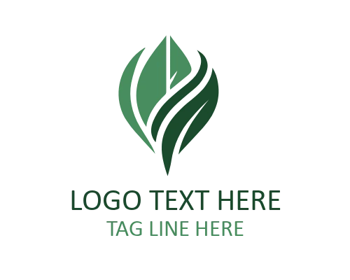 Leaf Shield Nature Care Logo