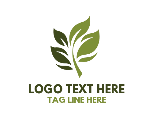 Leaf Star Eco Brand Logo