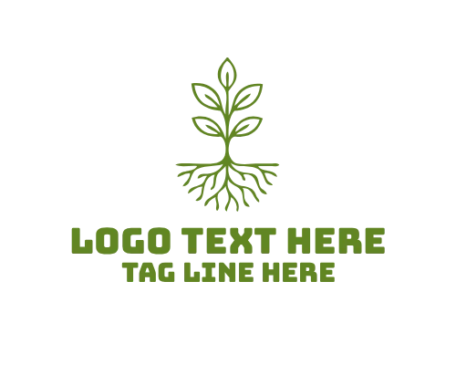 Life Foundation Tree Roots Logo